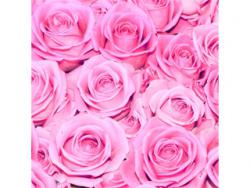 Dekofondant Rosen