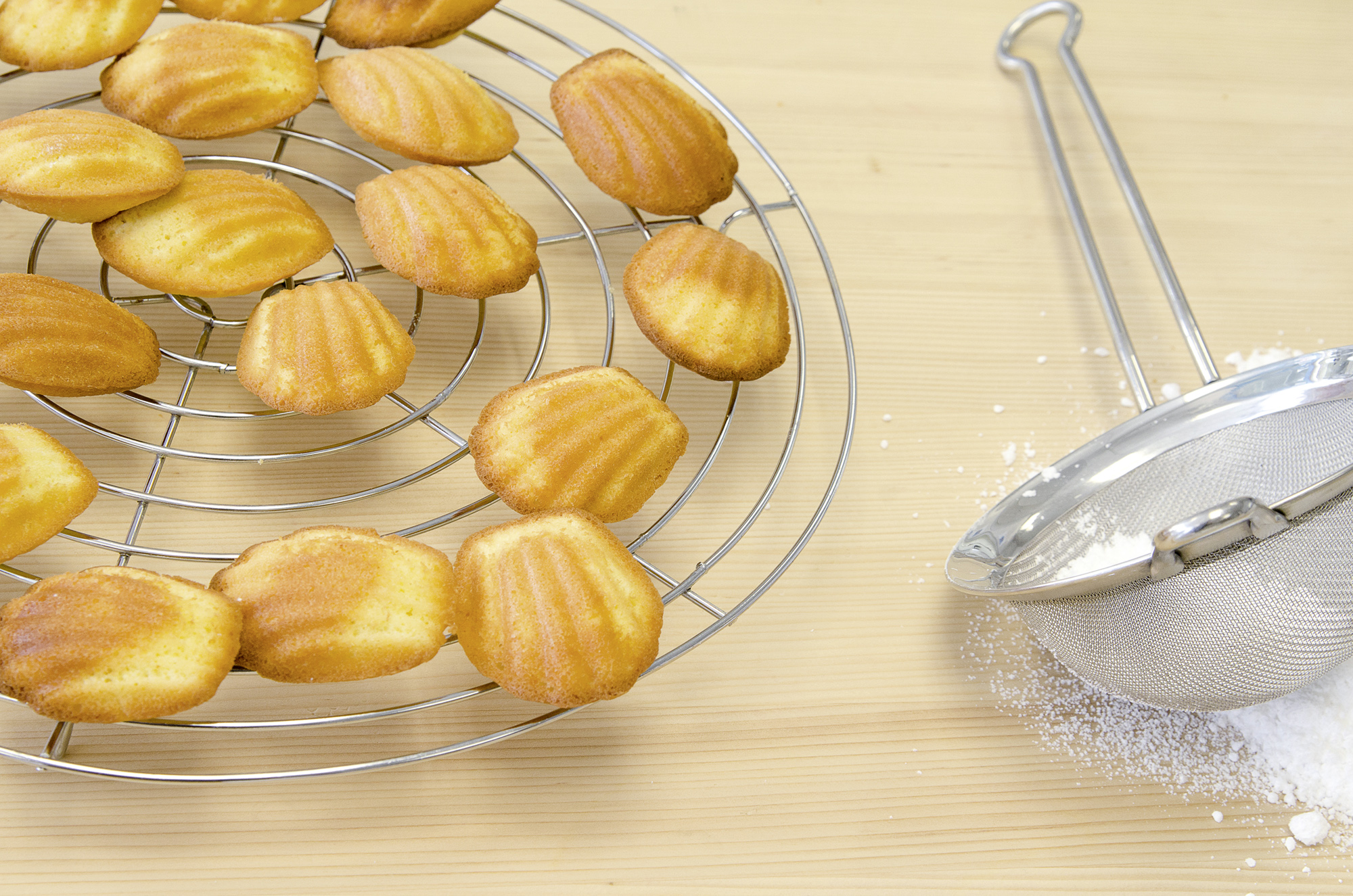 Bärentatzen Madeleines Metall