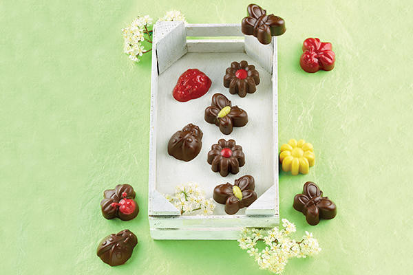 Silikomart Silikonform Gussform Frühling SCG24