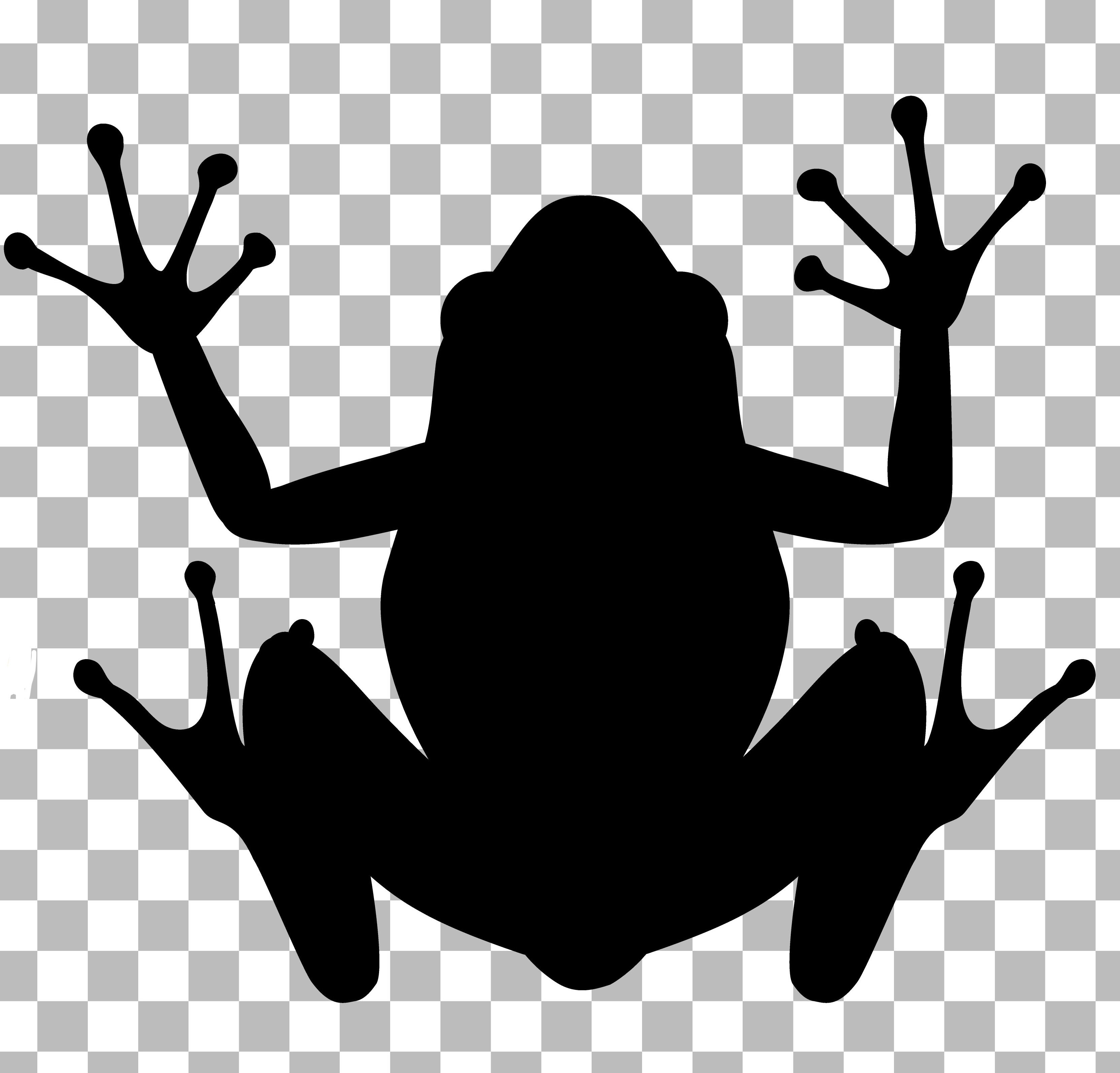 Pralinenaufkleber Sticker Frosch