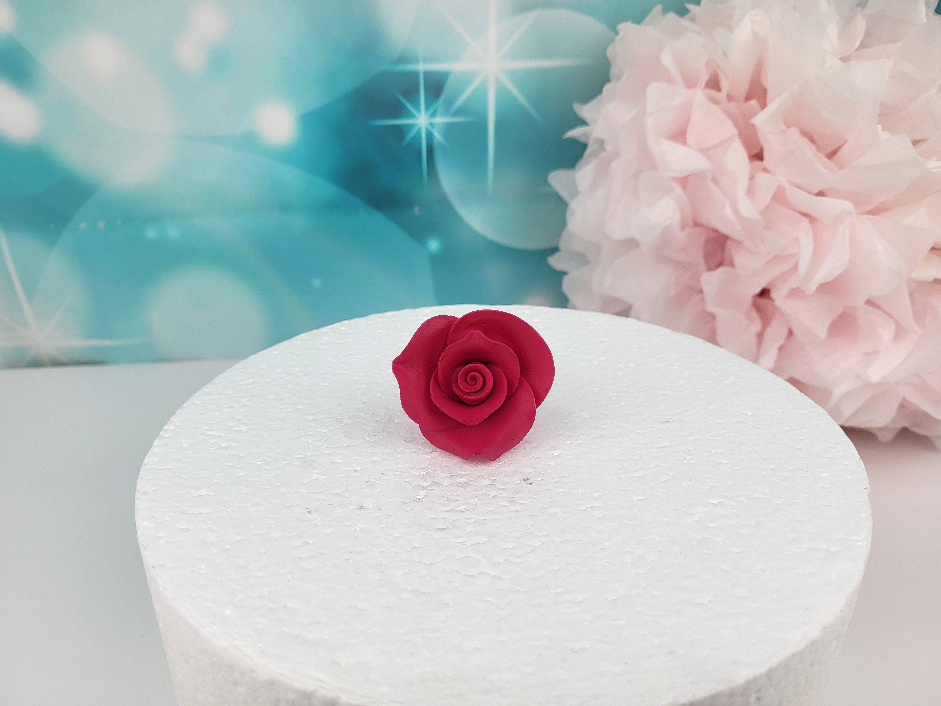 Zuckerblume Rose fuchsia mittel