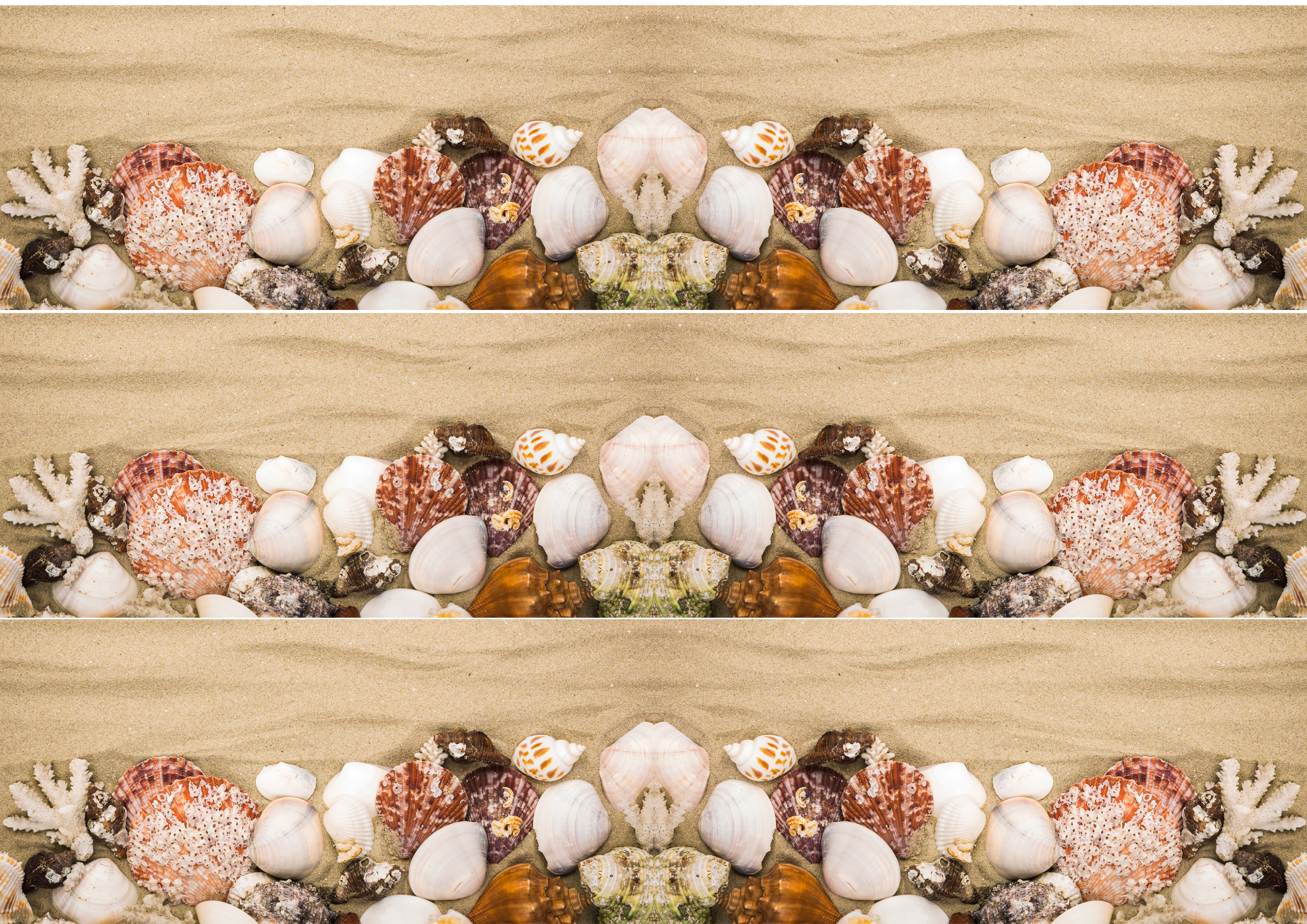 Wafer-Paper Meerestiere