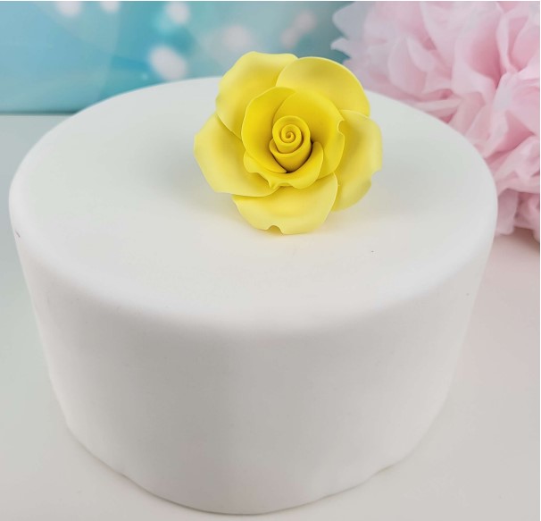 Zuckerblume Rose gelb mittel