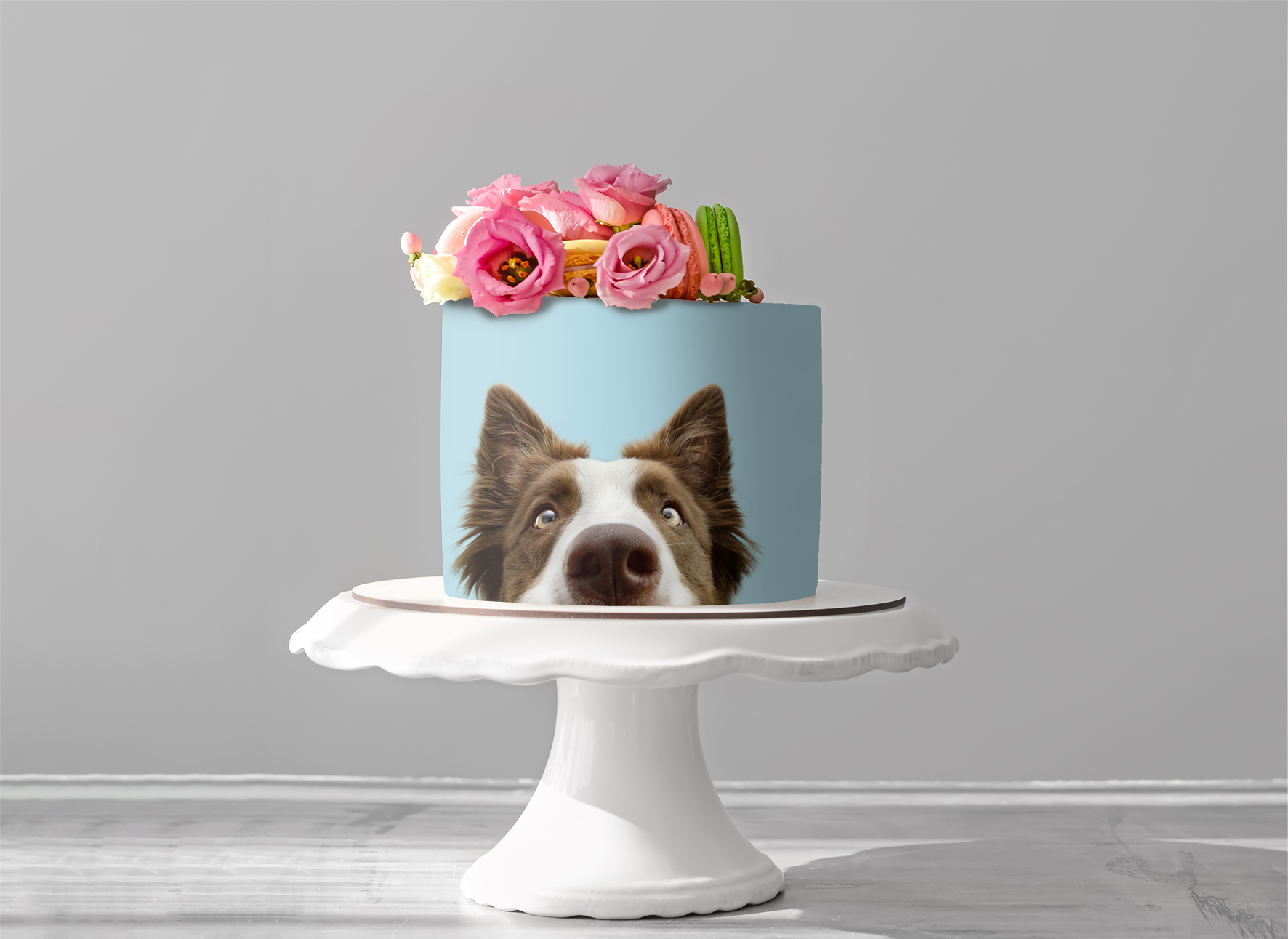Deko Fondant Hund