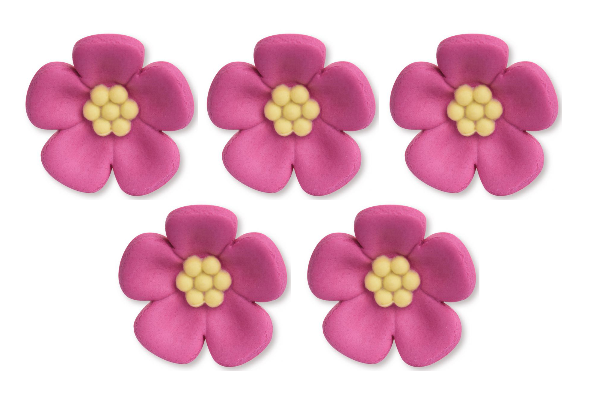 Zuckerblumen Portulak dunkelrosa