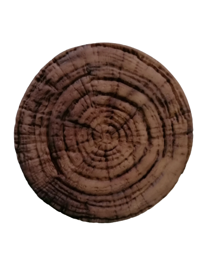 Baumstamm Scheibe Zuckerdekoration