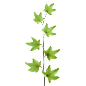 Zuckerdekoration Efeuzweig 