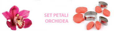 Set Orchideeblüte Ausstecher & Veiner