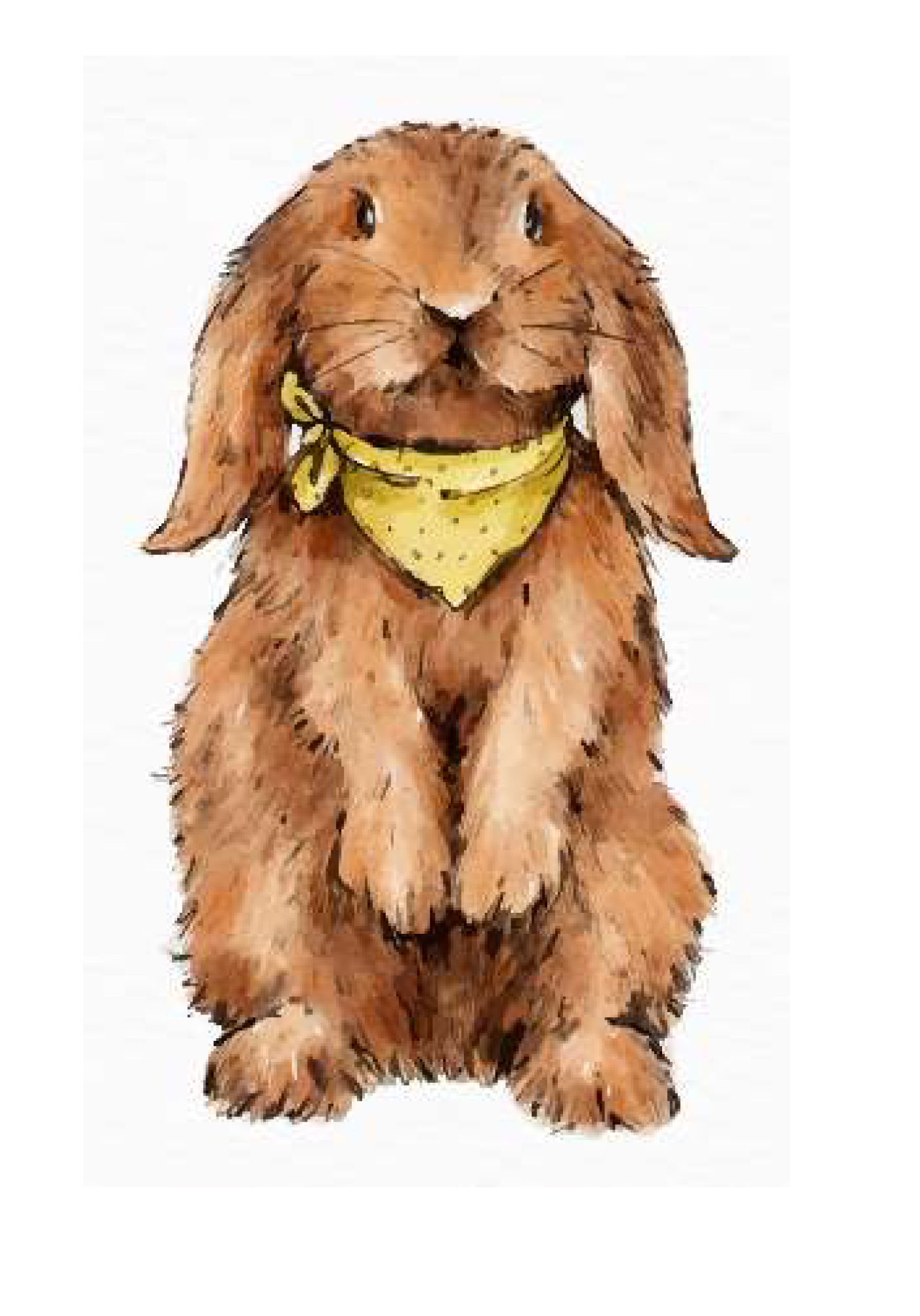 Fondant Kärtchen Hase